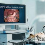 Лапароскопическая стерилизация: экспертный взгляд на безопасность и скрытые возможности lal01